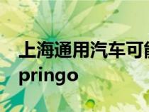 上海通用汽车可能还会决定简单地将其称为Springo