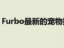 Furbo最新的宠物摄像头为您提供360度全景