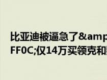 比亚迪被逼急了&#xFF01;唐二代亮相街头&#xFF0C;仅14万买领克和魏派的都后悔了