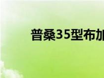 普桑35型布加迪复制品在街上疯狂