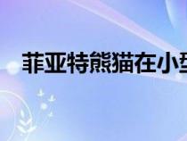 菲亚特熊猫在小型车领域的技术创新40年