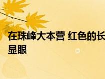 在珠峰大本营 红色的长城炮越野皮卡在雄伟的珠峰脚下格外显眼