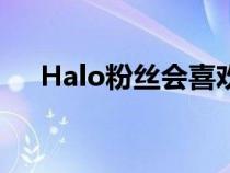 Halo粉丝会喜欢Hoonigan的真正疣猪