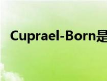 Cuprael-Born是我们错过的热门电动舱门