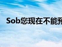 Sob您现在不能预订SkodaRapidRider版