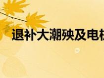 退补大潮殃及电机环节 半数企业或将阵亡