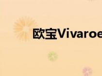 欧宝Vivaroe获得运动型贴纸套装