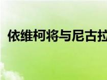 依维柯将与尼古拉购买电动氢卡车合资企业