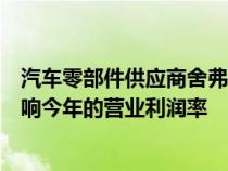 汽车零部件供应商舍弗勒预计工资和能源成本上涨将继续影响今年的营业利润率