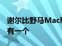 谢尔比野马Mach-e GT听起来很棒 但你不能有一个