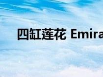 四缸莲花 Emira 将在古德伍德首次亮相