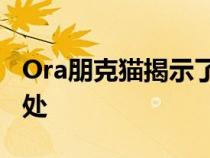 Ora朋克猫揭示了它与经典大众汽车的相似之处