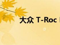 大众 T-Roc R 售价低于 6 万美元