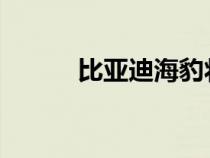 比亚迪海豹将于 7 月 18 日上市