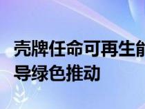 壳牌任命可再生能源老板萨万为首席执行官领导绿色推动