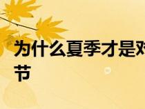 为什么夏季才是对新能源汽车考验最苛刻的季节