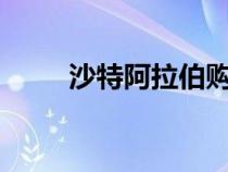 沙特阿拉伯购买帕加尼30%的股份