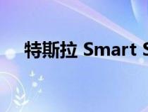 特斯拉 Smart Summon 仍然令人惊叹