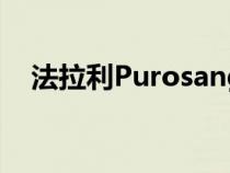 法拉利Purosangue盛大的揭幕即将到来