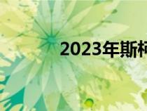 2023年斯柯达明锐首次被发现