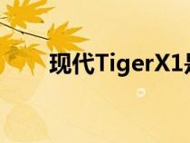 现代TigerX1是未来的全地形包骡子