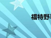 福特野马揭示加速视频