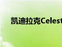 凯迪拉克Celestiq 量产版路试谍照出现