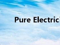 Pure Electric已经透露了两款新车型