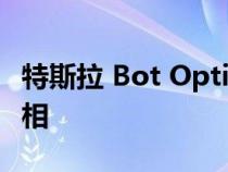 特斯拉 Bot Optimus 原型机将于本月首次亮相