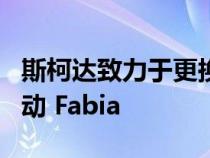 斯柯达致力于更换价值低于 20,000 英镑的电动 Fabia