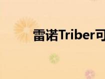 雷诺Triber可作为面板面包车提供