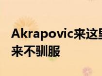 Akrapovic来这里是为了让宝马M4比赛听起来不驯服