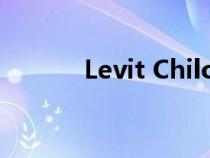 Levit Chilo 3 电动自行车评测