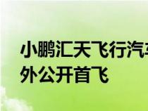 小鹏汇天飞行汽车旅航者X2在迪拜完成了海外公开首飞