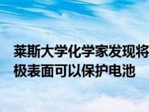 莱斯大学化学家发现将粉末刷入电池阳极表面以调整电池阳极表面可以保护电池