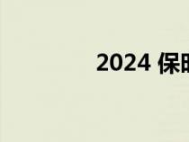 2024 保时捷卡宴改款预览