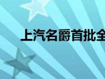 上汽名爵首批全新纯电动车型抵达欧洲