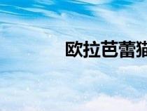 欧拉芭蕾猫将于7月12日上市