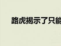 路虎揭示了只能由SUV到达的充电终端