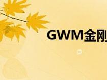 GWM金刚炮在市场进行测试