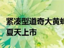 紧凑型道奇大黄蜂插电式混合动力车将于今年夏天上市