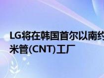 LG将在韩国首尔以南约 75 公里的忠清南道建造第四座碳纳米管(CNT)工厂